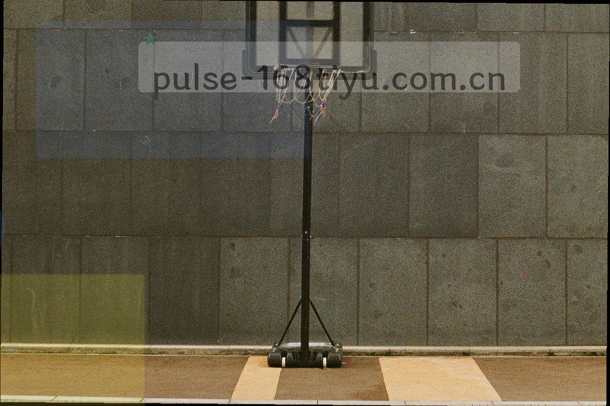界面右上角的会员入口与上次关注记录卡片，画面中没有出现任何人物形象